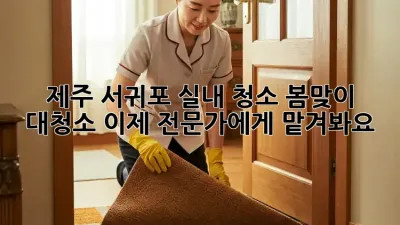 제주 서귀포 실내 청소: 봄맞이 대청소, 이제 전문가에게 맡겨봐요!