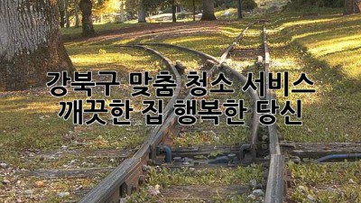 강북구 맞춤 청소 서비스: 깨끗한 집, 행복한 당신