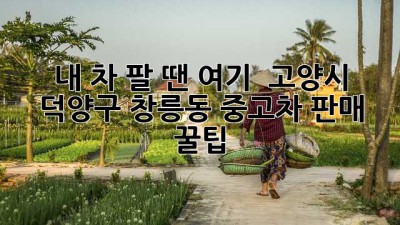 내 차 팔 땐 여기! 🚗💨 고양시 덕양구 창릉동 중고차 판매 꿀팁